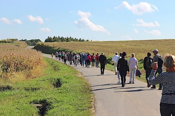 BELLE SOLIDARITÉ – Les vignerons de Chalosse marchent contre le cancer